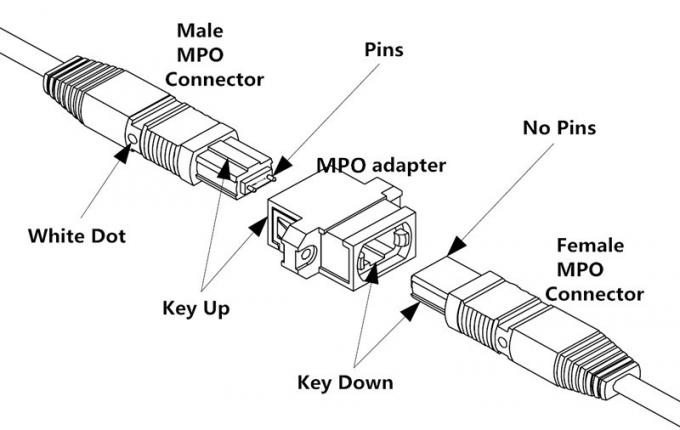 Tipo de cabo manutenção programada do tronco da fibra MPO do PVC LSZH 8/12/24 milímetro da polaridade de B 1